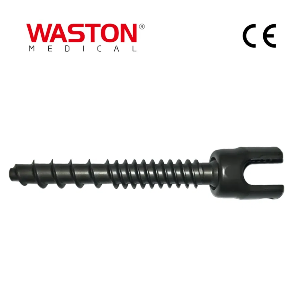 Spinal Fixation System