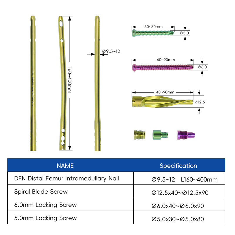 Medical Supply Orthopedic Implant Titanium Dfn Distal Femoral Intramedullary Nail