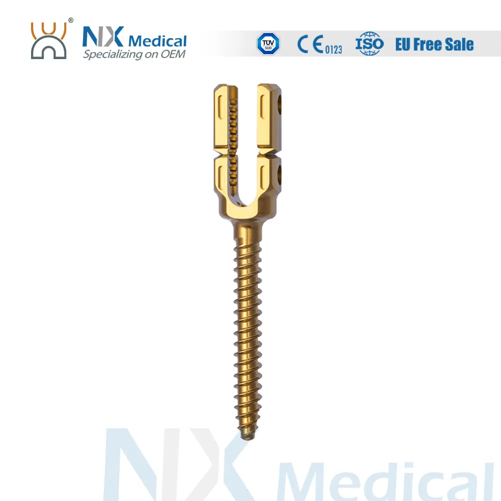 Nx Medical Orthopedic Implant Cannulated Bone Cement Spinal Pedicle Screw 6.0mm System
