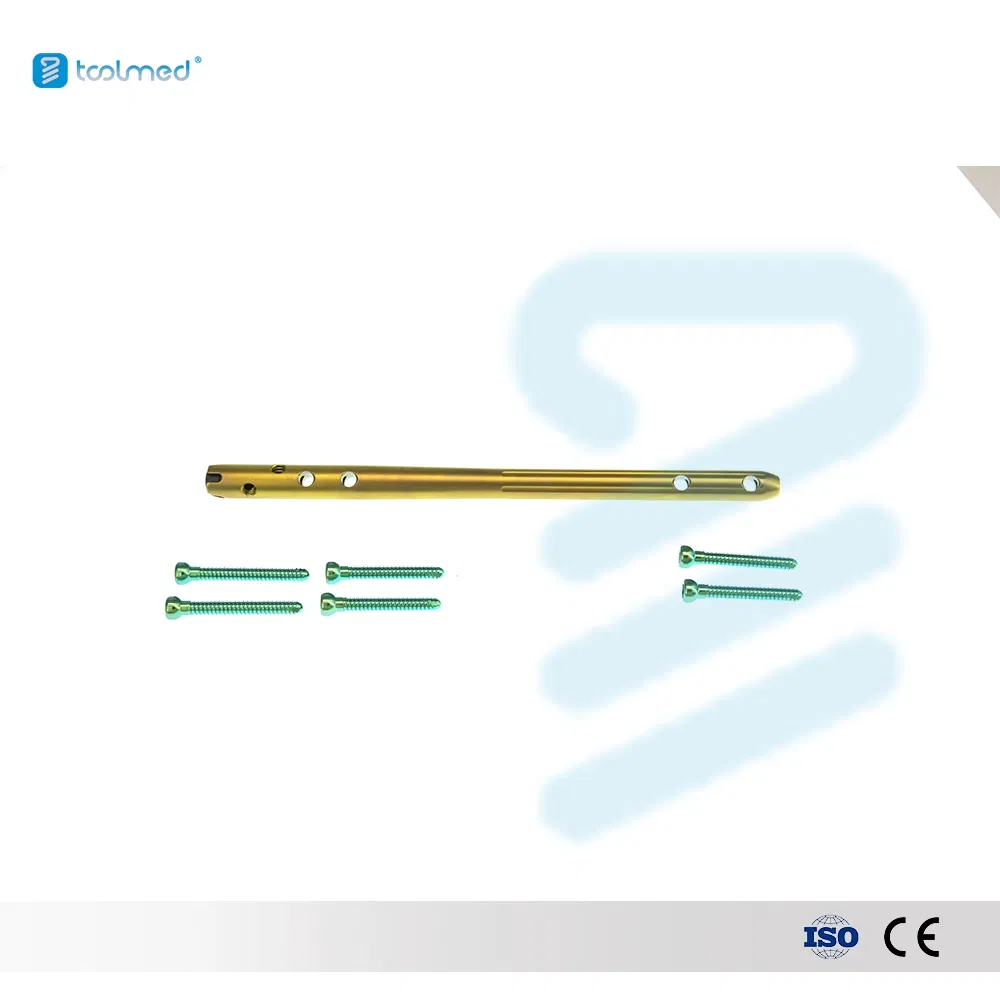 Orthopedic Trauma Interlocking Intramedullary Nail for Femur 9.5*340