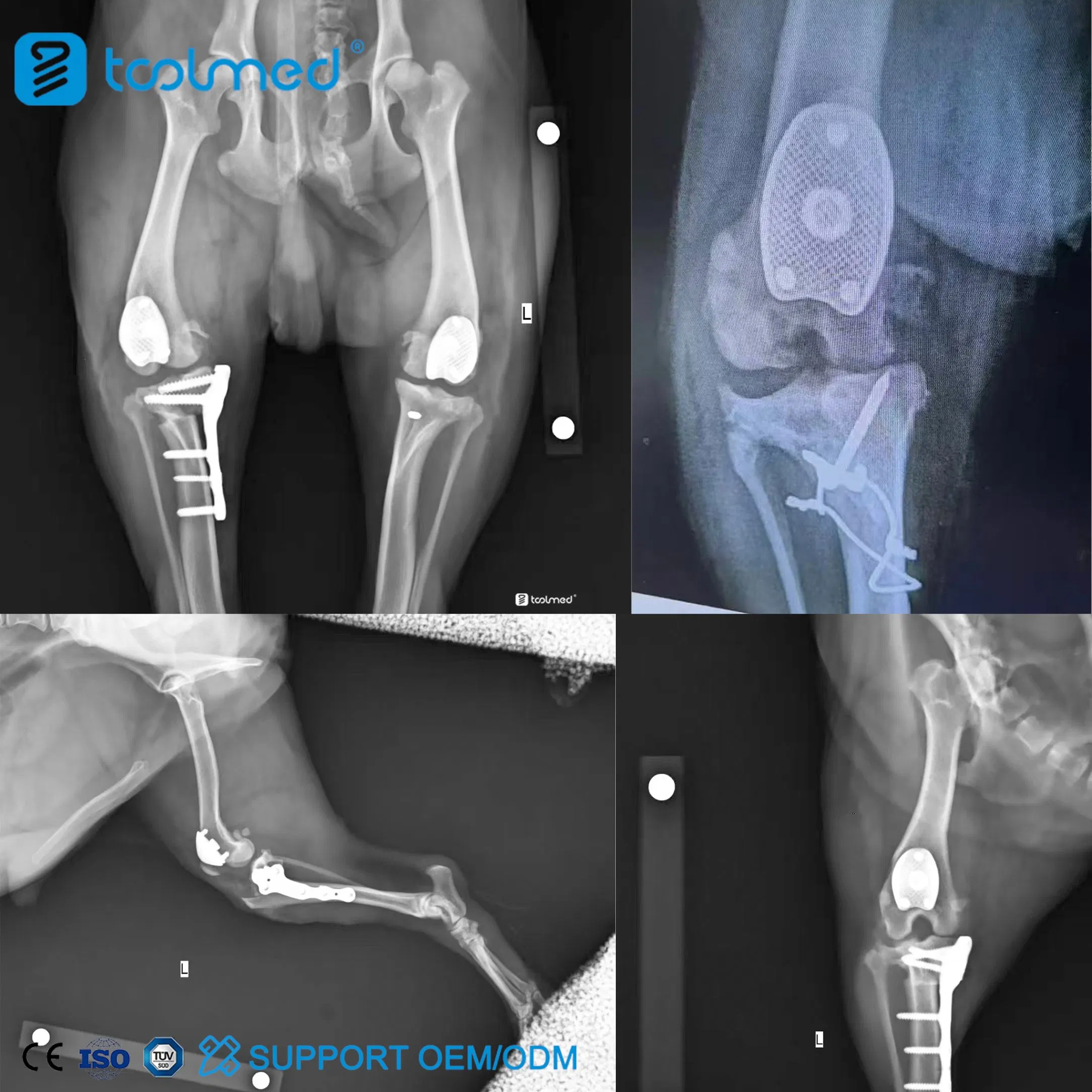 Veterinary Orthopedic Knee Prosthesis Replacement Medical Kit Patellar Groove Replacement (PGR) Instrument Set for Pet Surgery