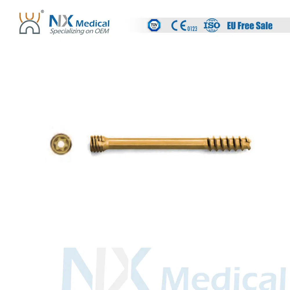 Nx Medical Orthopedic Implant Cannulated Headless Compression Screw for Bone Fixation