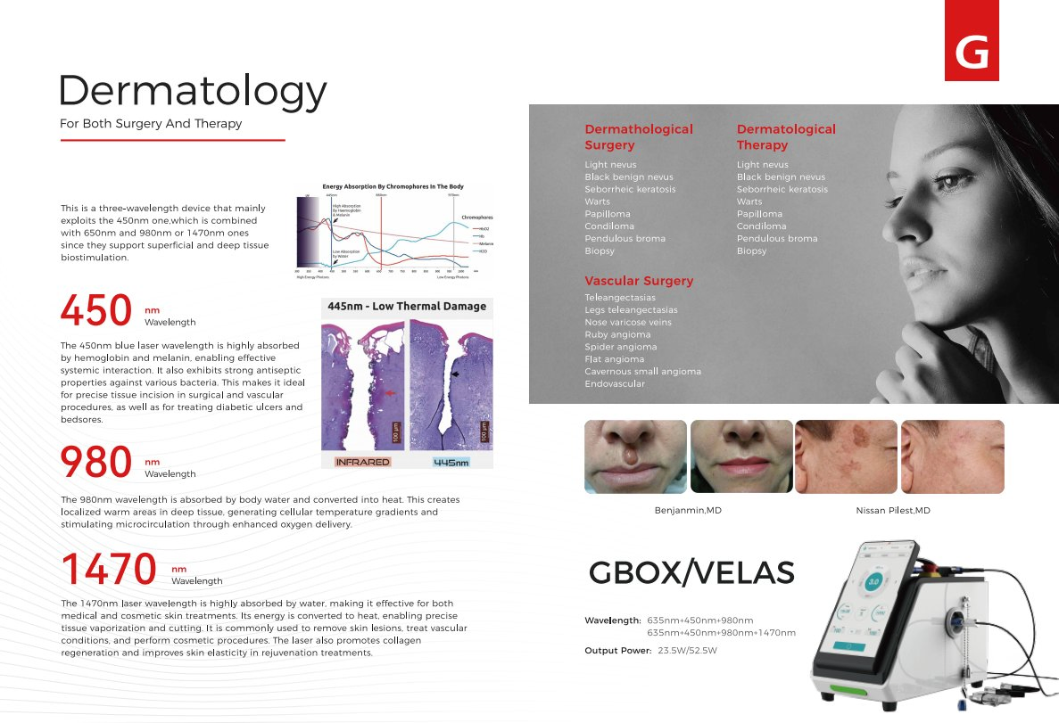 Medical Diode Laser System for Dermatology Clinics and Skin Therapy