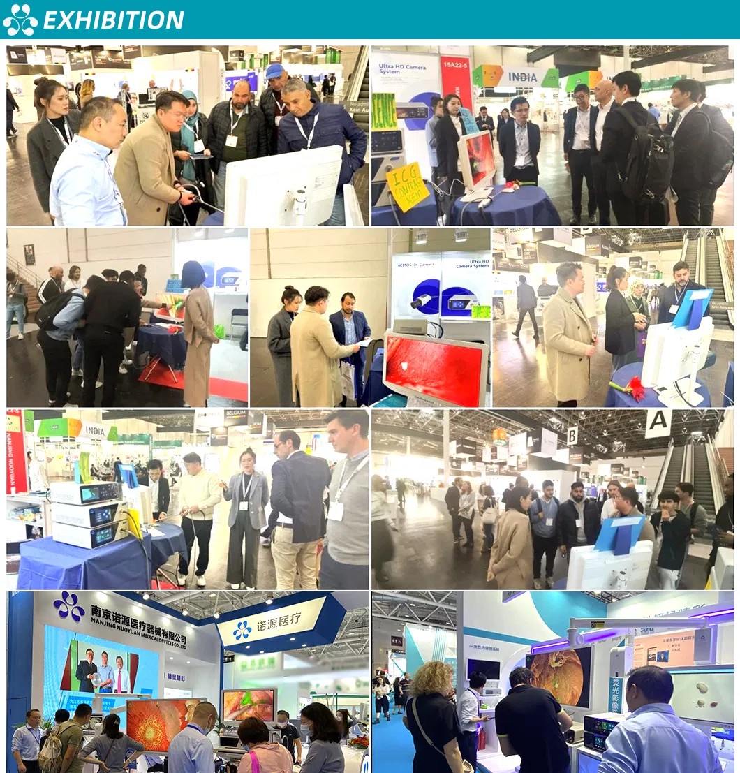 Exhibition