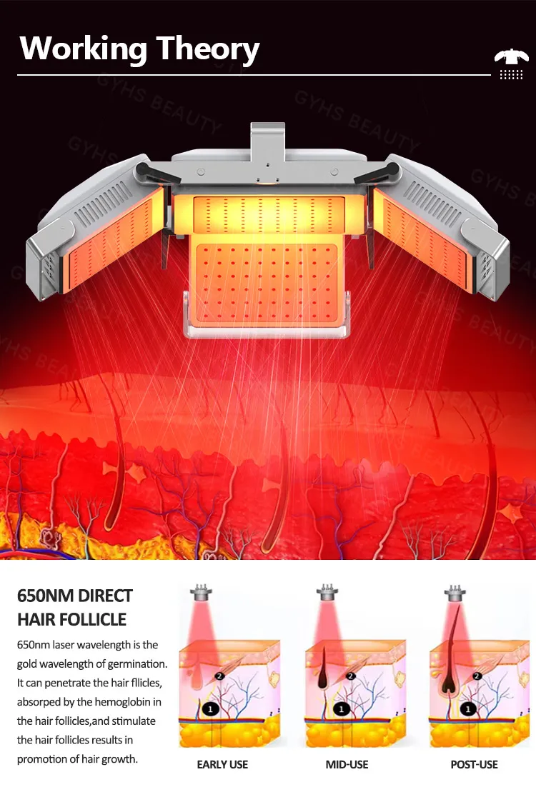 Hair Growth Device 2