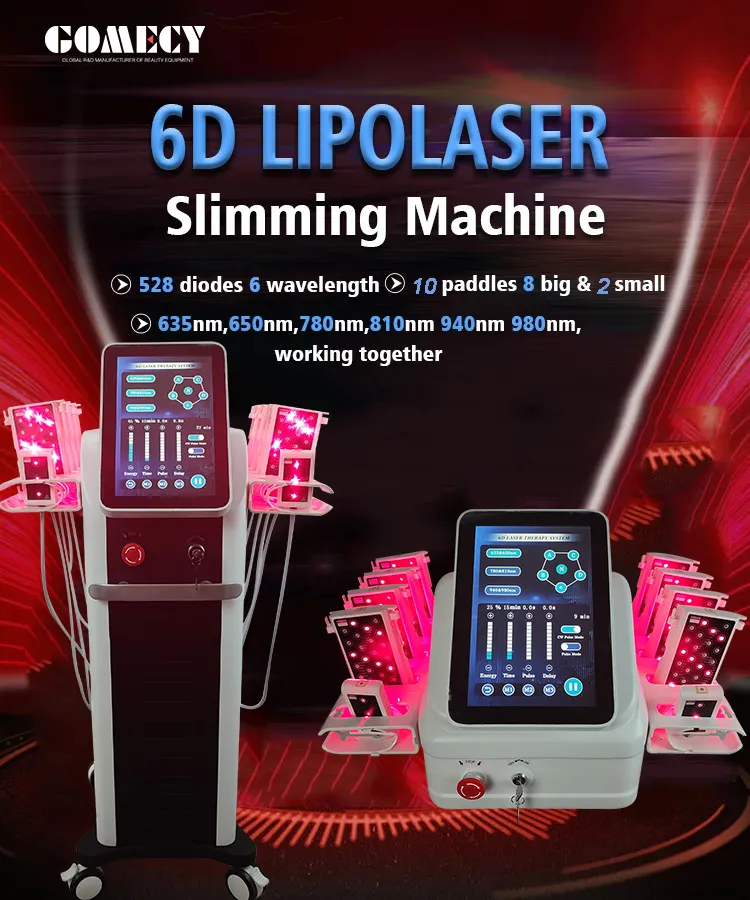 6D Lipo Laser Slimming Equipment