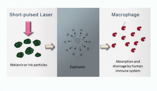 Working Principle Diagram
