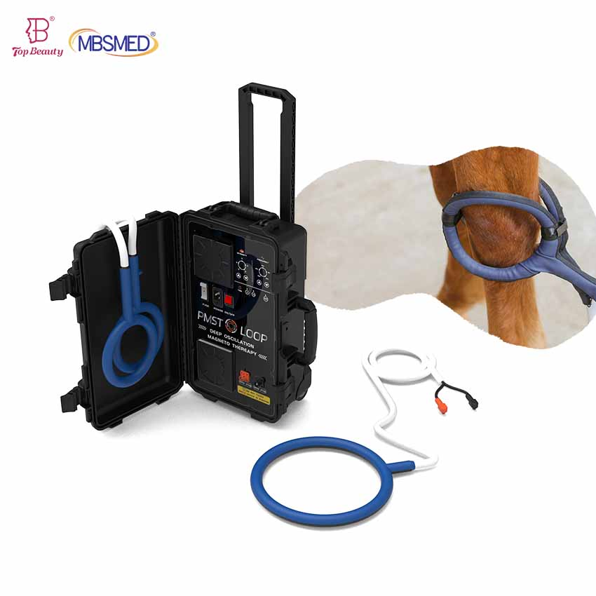 High Pemf Magnetic Therapy Health Pulsed Electromagnetic Stimulation Therapy Pemf Device
