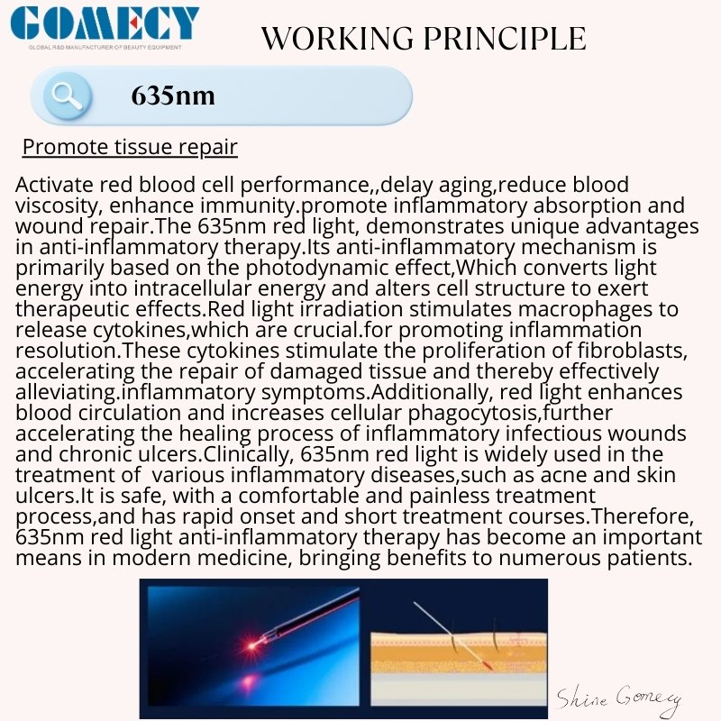Gomecy Newest Medical 980nm 1470nm 635nm Diode Laser System for Endolift Wound Healing and Anti-Inflammatory Treatments Equipment