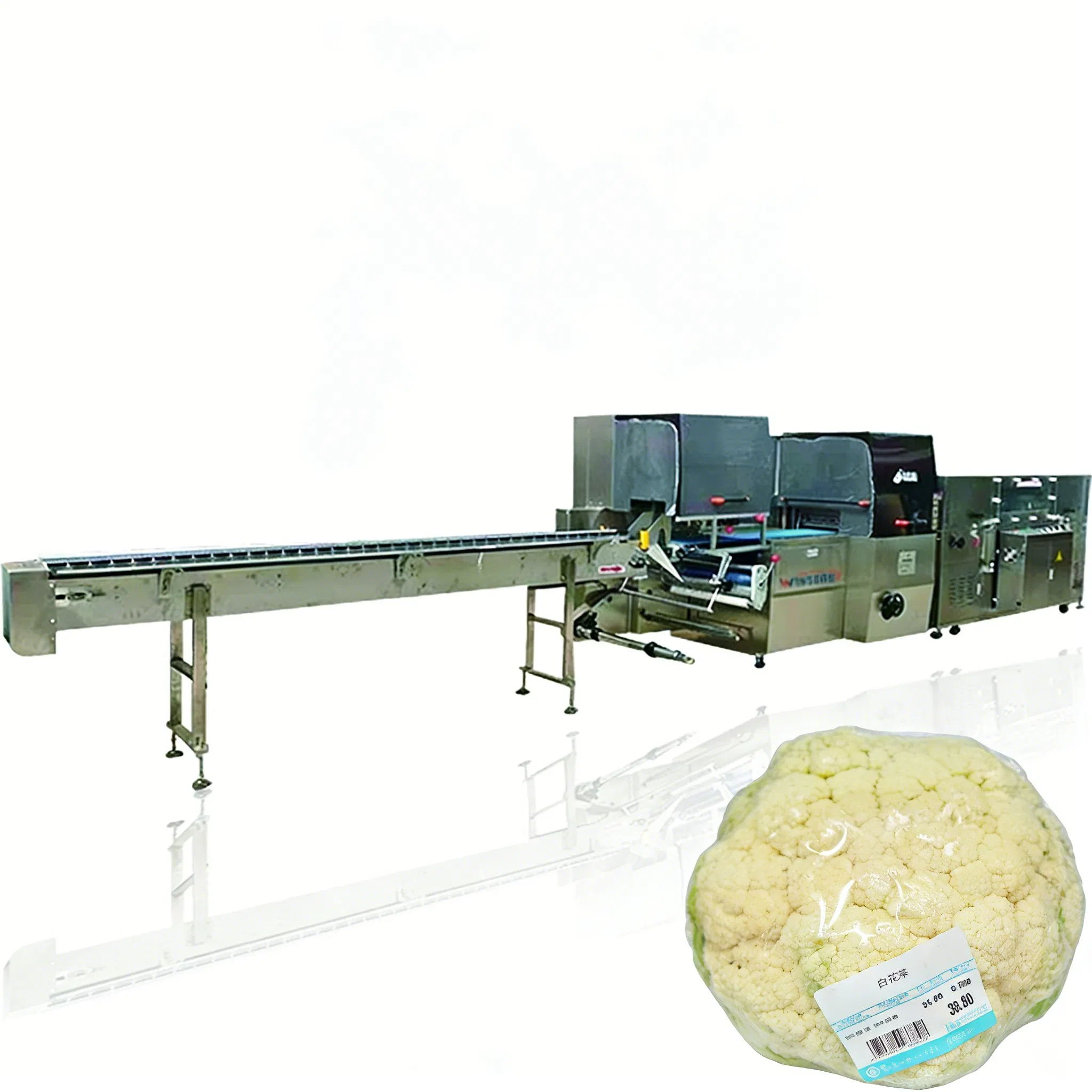 Wide Application for Greens Wba-R720 Box Motion Shrink Pillow Packaging Machine