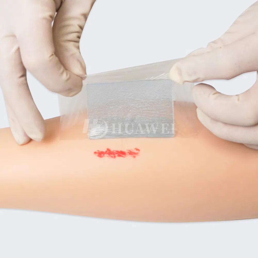 Wound Dressing Photo 6