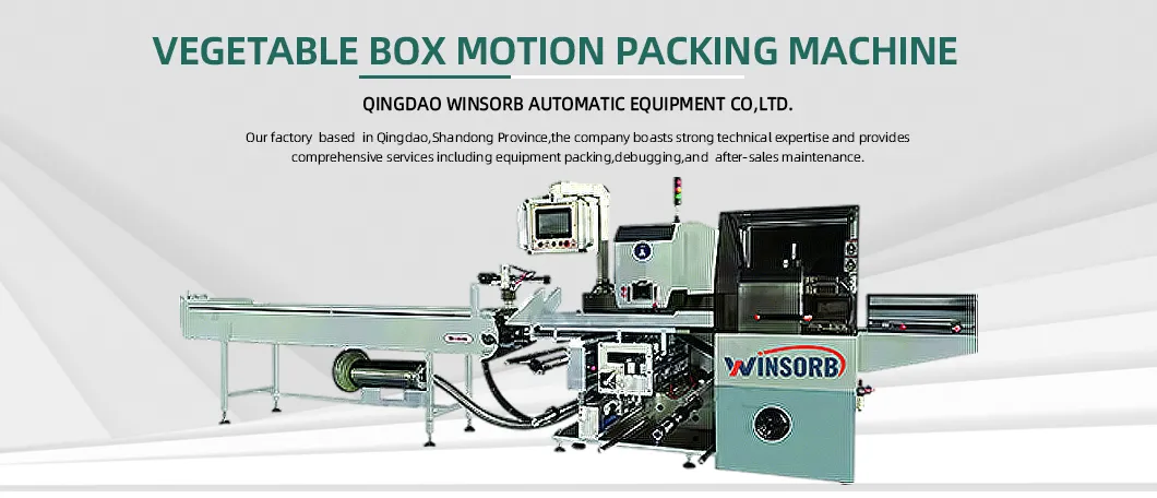 Automatic Box Motion Pillow Packaging Machine