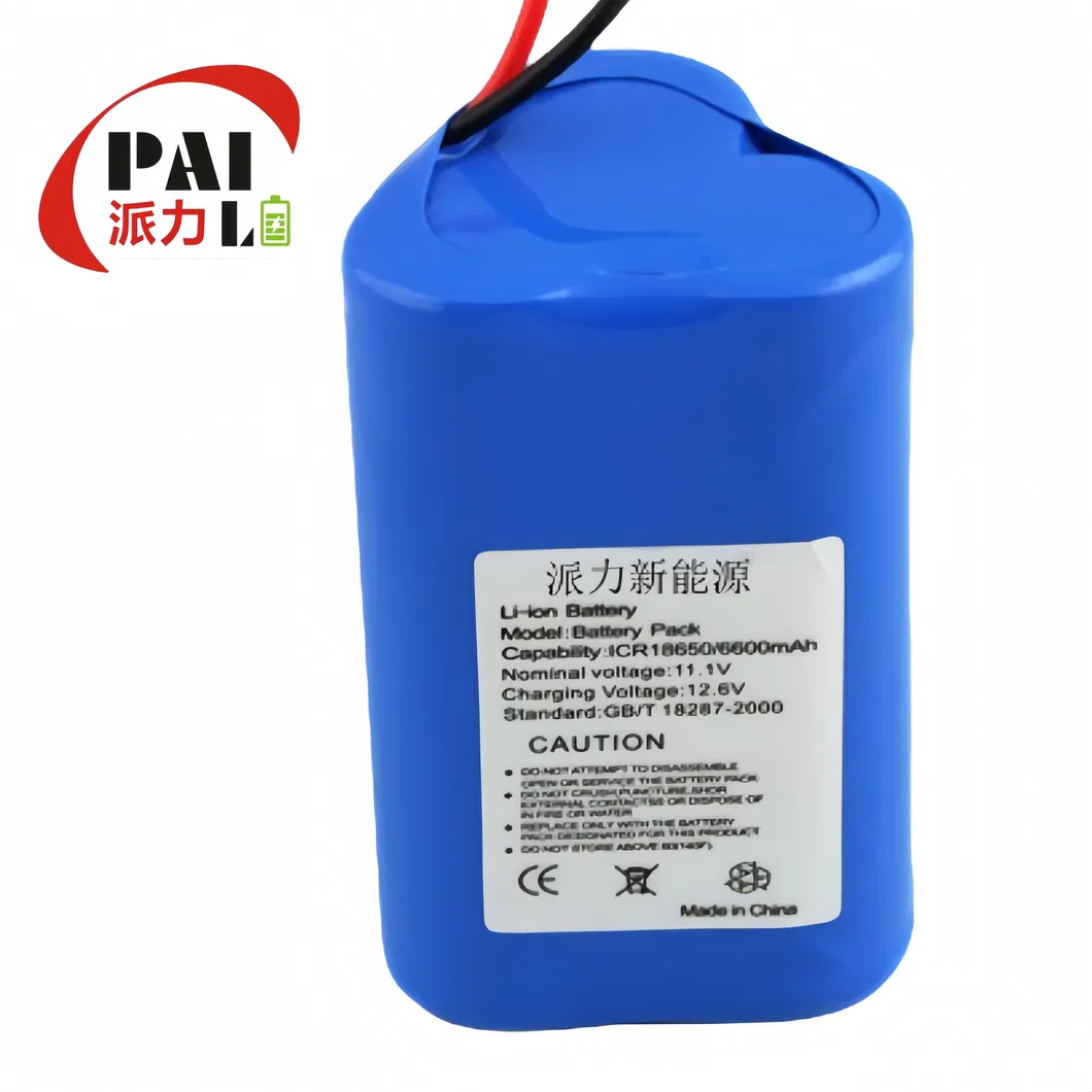 Lithium Ion Battery Pack 2