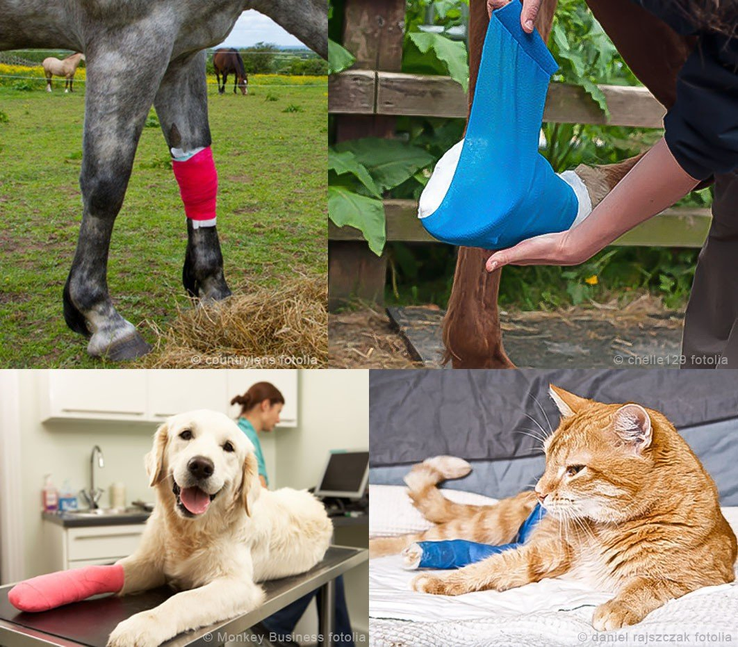 Self Adherent Cohesive Wrap Horse Bandages Tape Equine Cohesive Bandages Custom Colored Sports Tape Non-Woven Elastic Cohesive Bandage