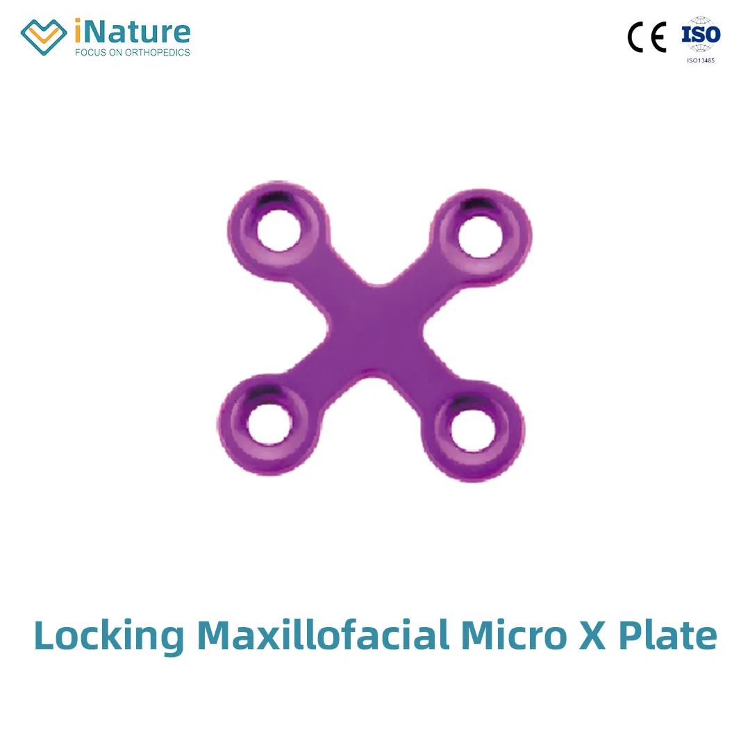 Orthopedic Maxillofacial Mini Straight Locking Plate Implant