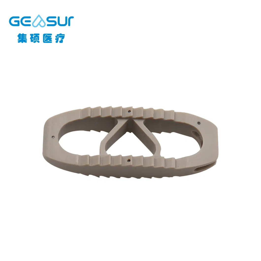 Lumbar Interbody Fusion Cage 1