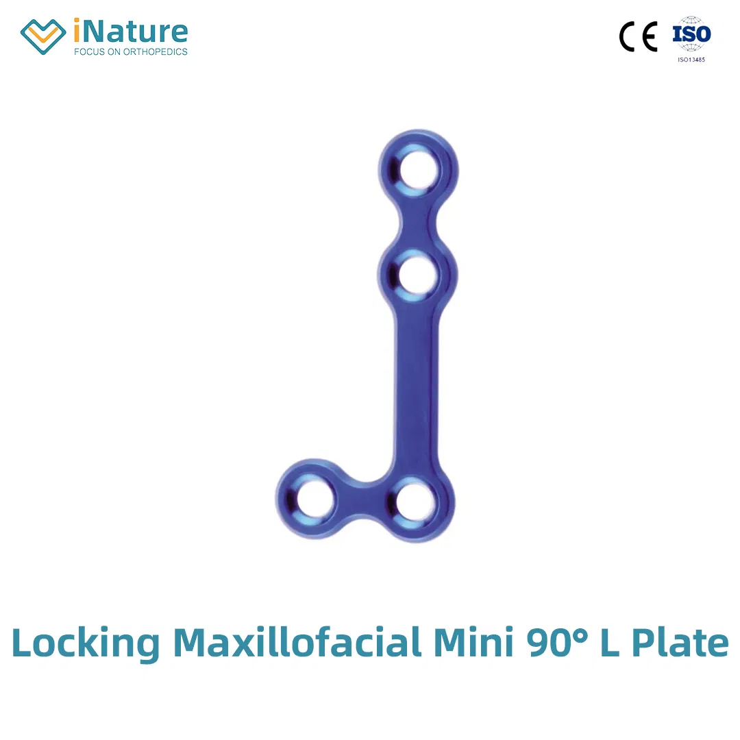 Locking Maxillofacial Mini Straight Bridge Plate Implant