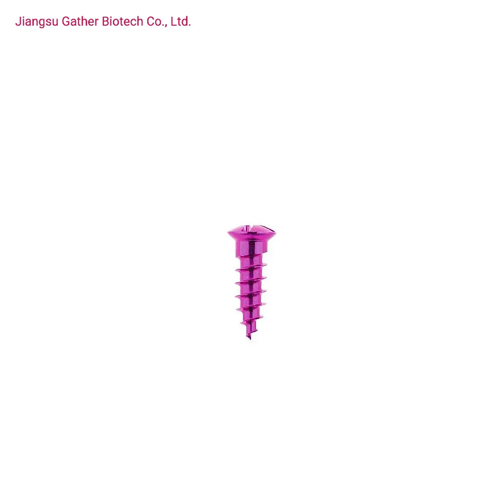 Orthopedic Implant Maxillofacial Micro Curved Plate 0.6mm Thickness Implant Titanium Implants 1.5mm Maxillofacial Screw