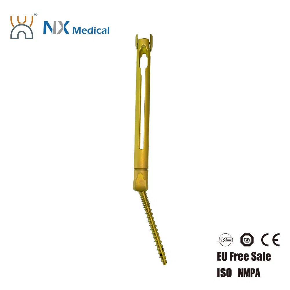 Nx Medical Orthopedic Implant Cannulated Bone Cement Spinal Pedicle Screw Spinal Fixation