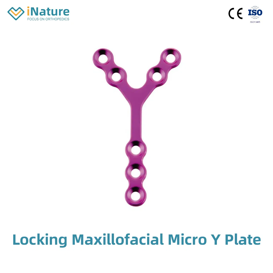 Orthopedic Maxillofacial Mini Straight Locking Plate Implant
