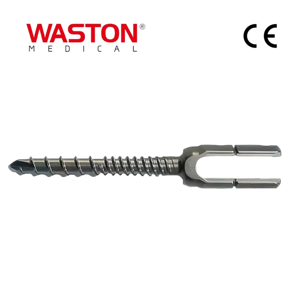 Spinal Fixation System