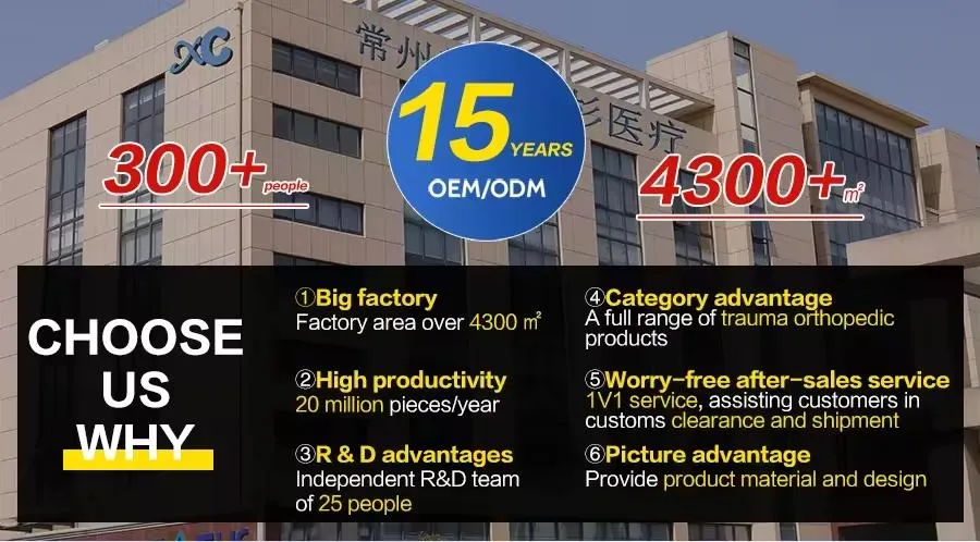 Company Profile View