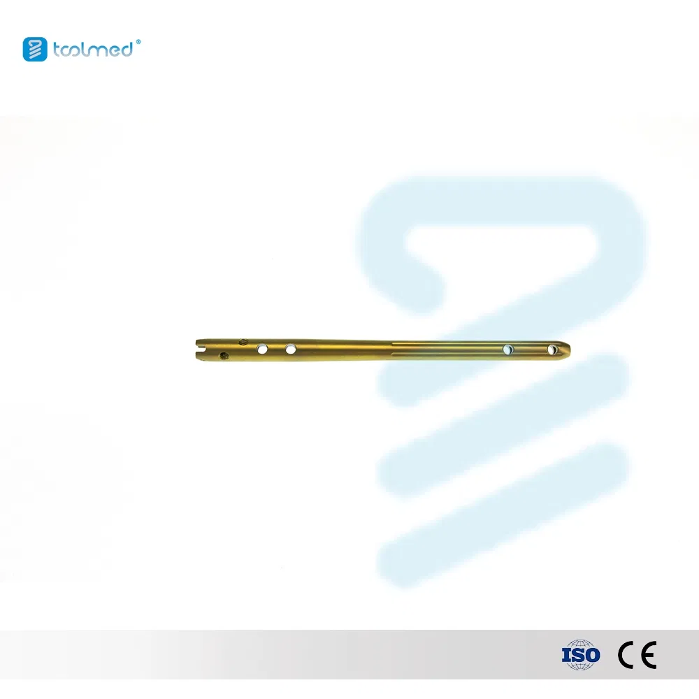 Expert Osteosintesis Intramuslary Proximal Femoral Nail Pfna Intramedullary Interlocking Femur Nail Fusion Cage 10*220