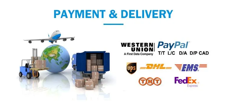 Professional Packaging and Logistics