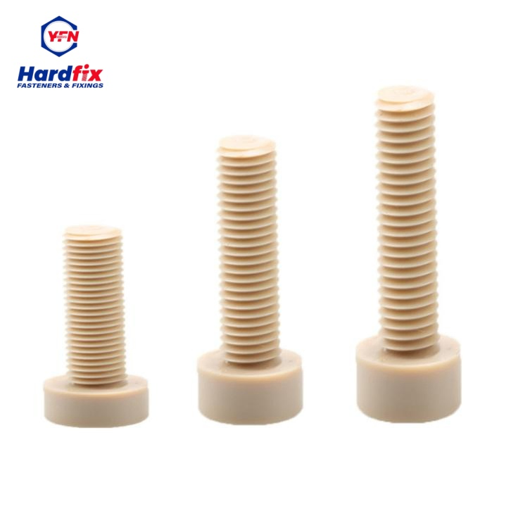 Plastic Peek Hexagon Allen Socket Head PVDF Screws Bolts Nuts Auto Fastener