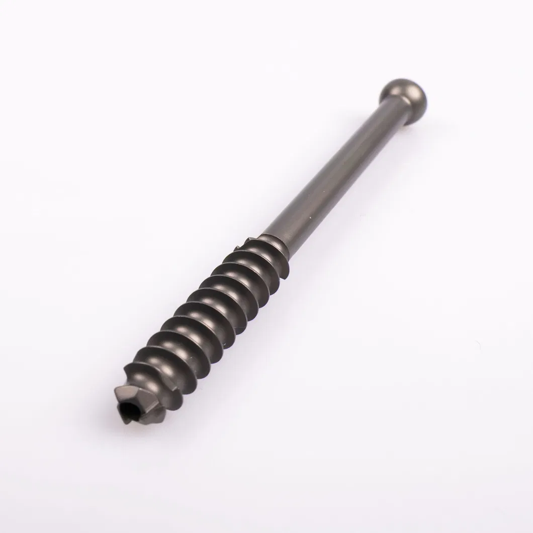 Hollow Screw System