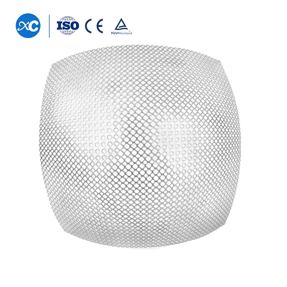 Anatomical 2D Round Hole Metal Maxillofacial Surgical Implants Cranial Titanium Mesh for Skull Surgery