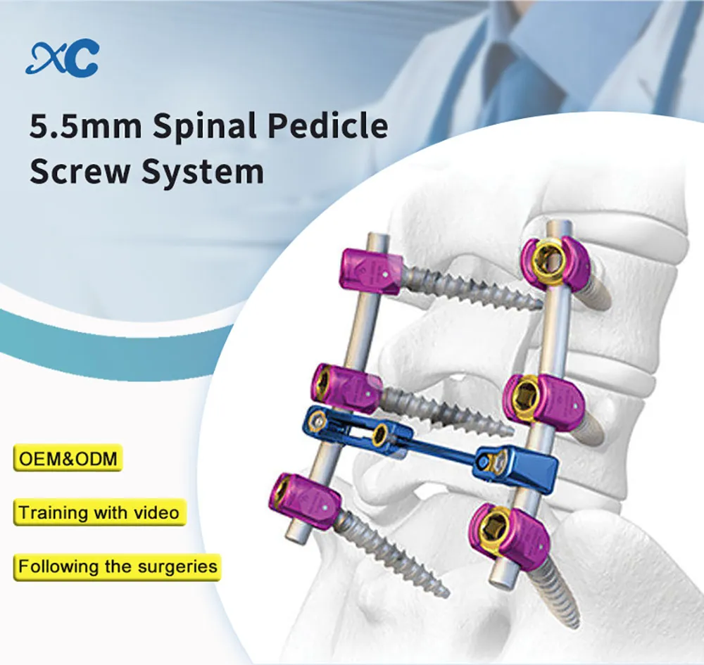 Spinal System Pedicle Spinal Screws