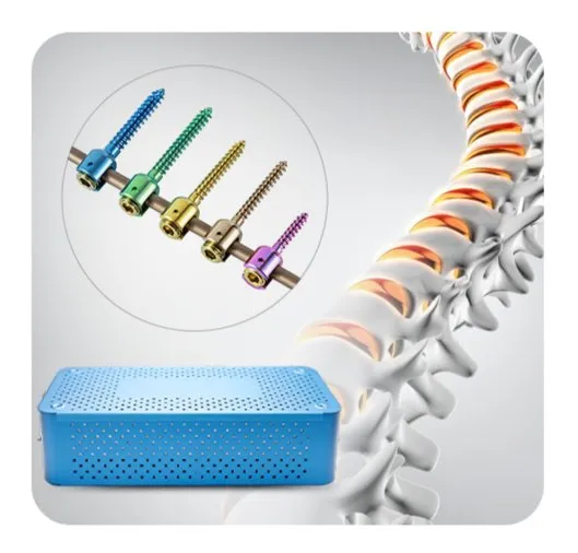 Spinal Pedicle Screw System