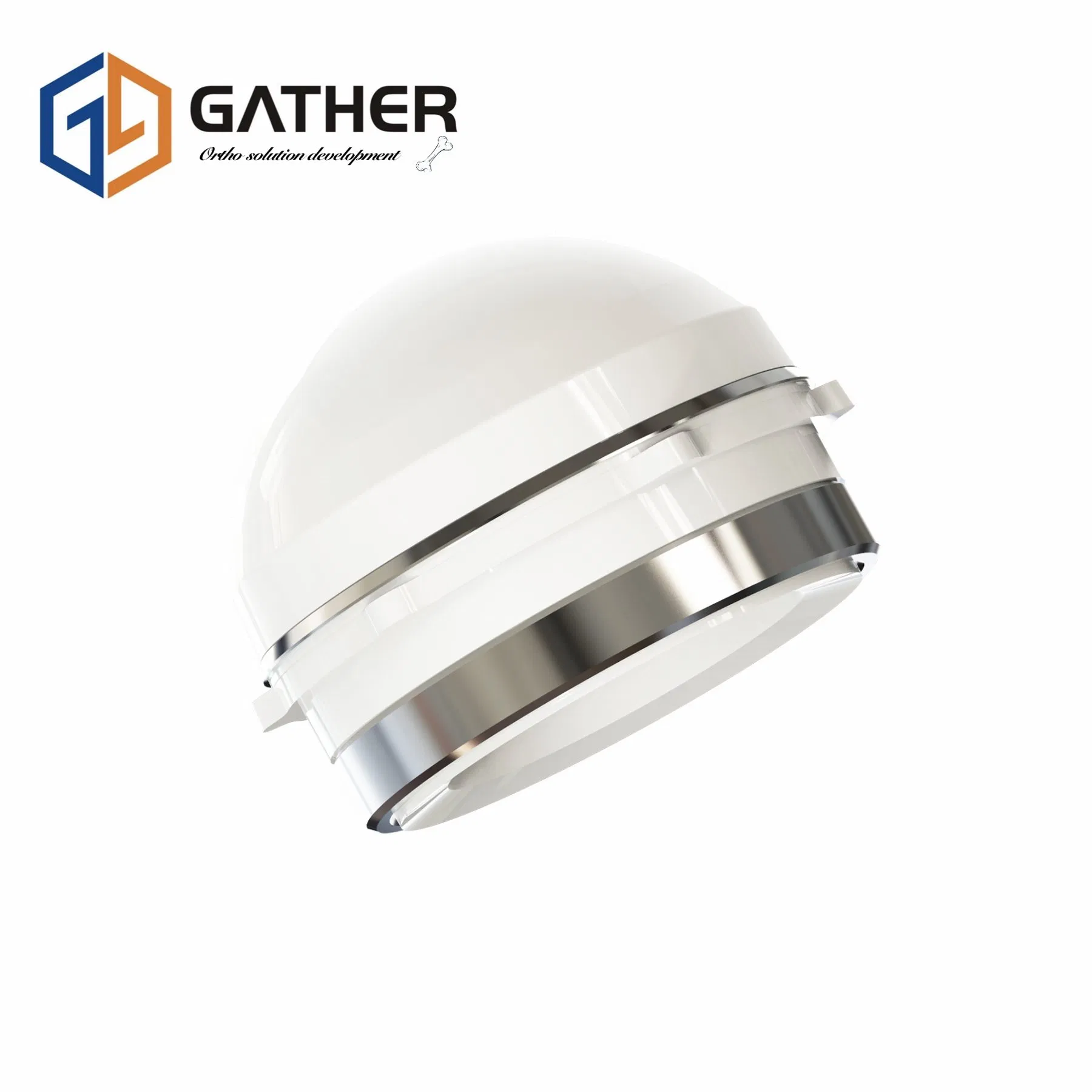 Replacement Constrained Liners Total Hip Arthroplasty Hip Joint Limiting Lining