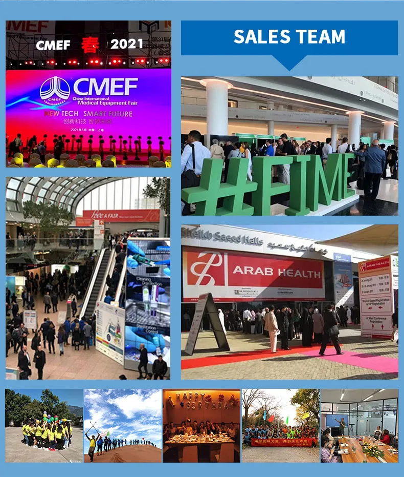 Our Professional Team