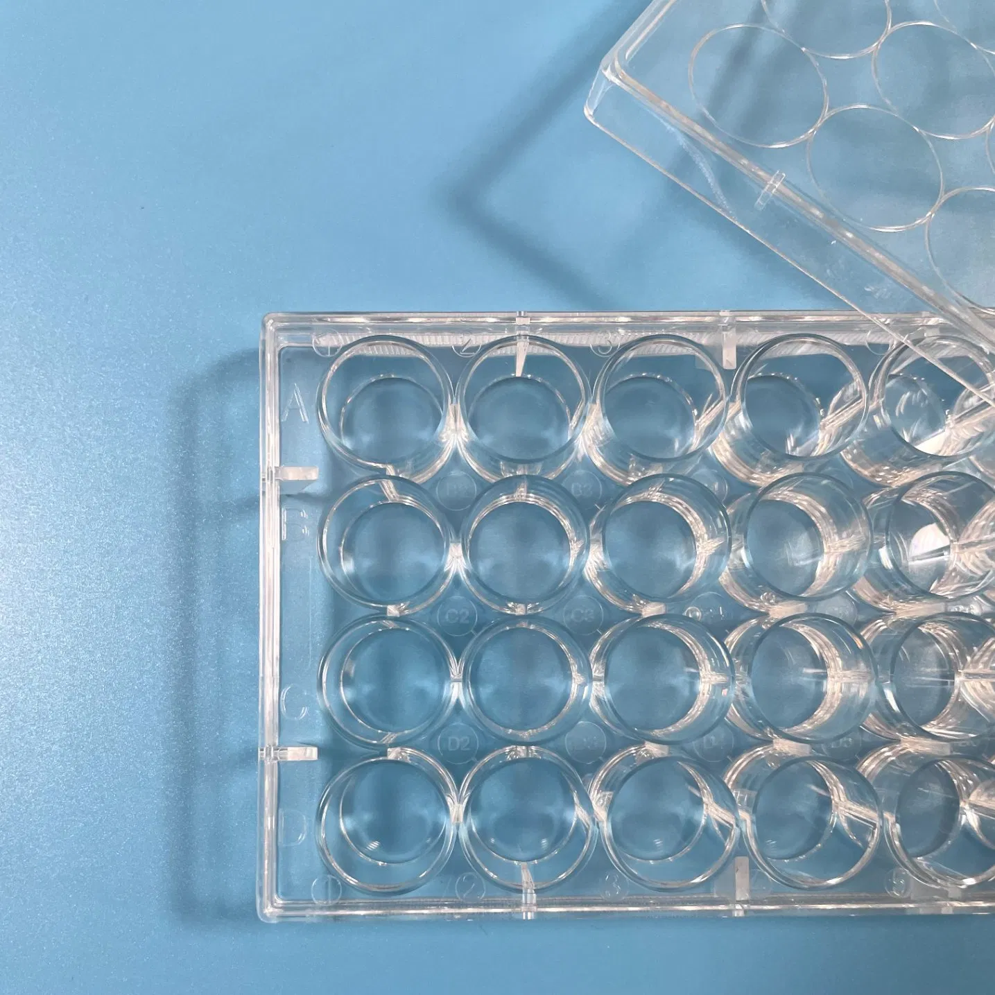 Plastic Seed Multi-Well Cell Culture Plates 24 Well Tissue Culture Plate