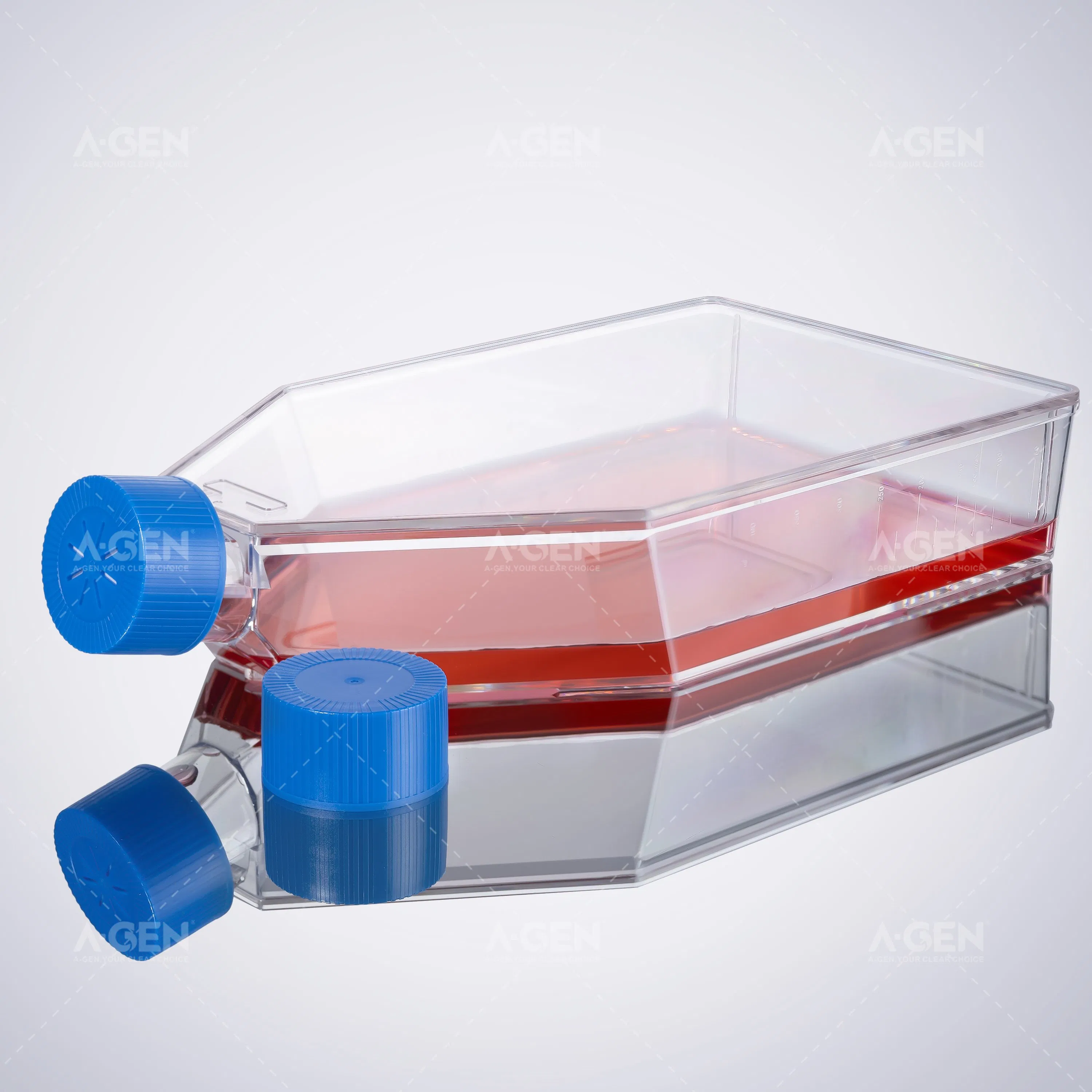 175 Cm² Cell Culture Flask Seal Cap Tc Treated Sterile N Design