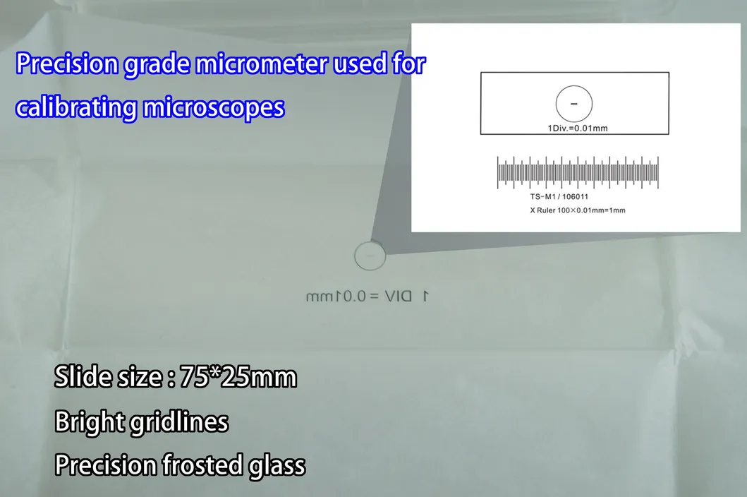 Detailed Calibration Ruler