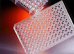 Lab Consumables Multi Well Plate 6-48wells