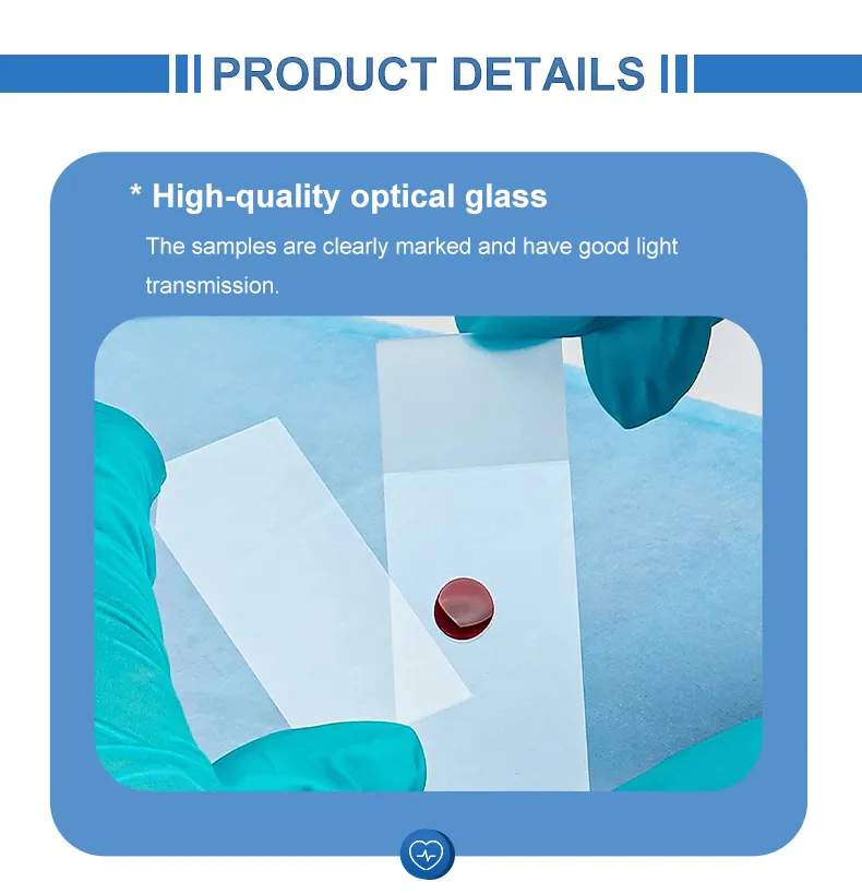 Microscope Slide Set 2