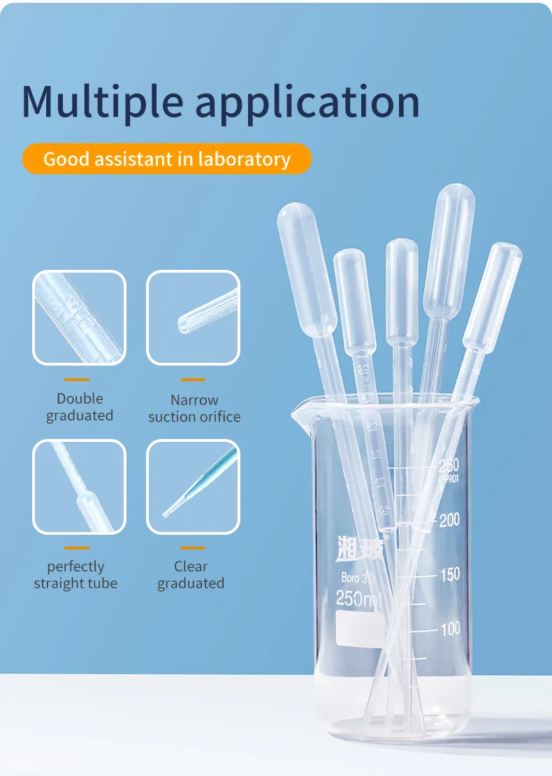 Pasteur Pipette Overview