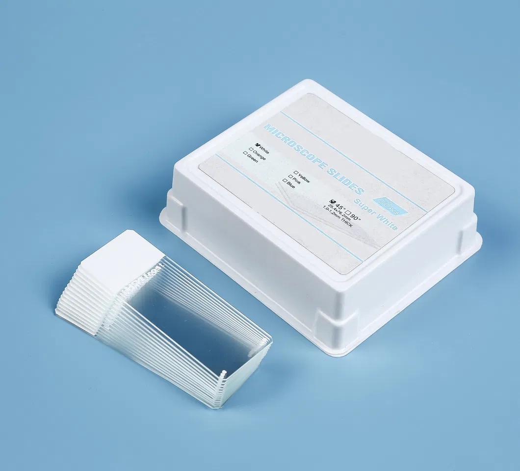 Microscope Slide 6