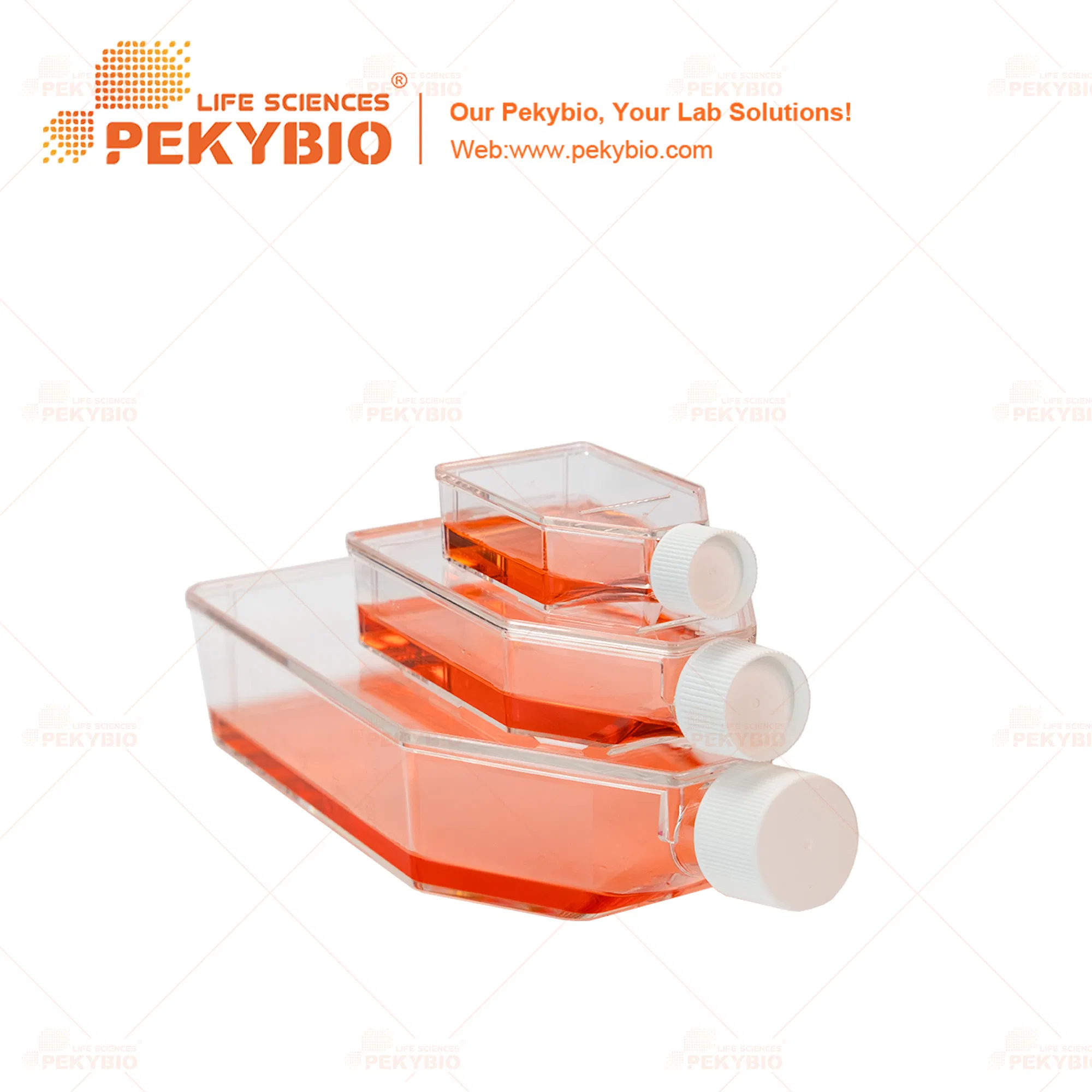 Premium Individual Cell Culture Flask for Lab Research and Test