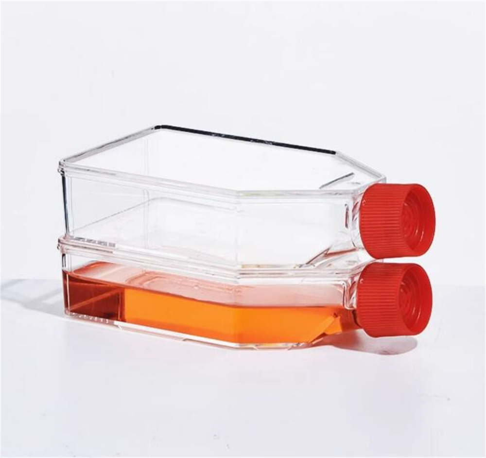 Culture Flask Plastic Tissue Cell Culture Flask Radical Manufacturer