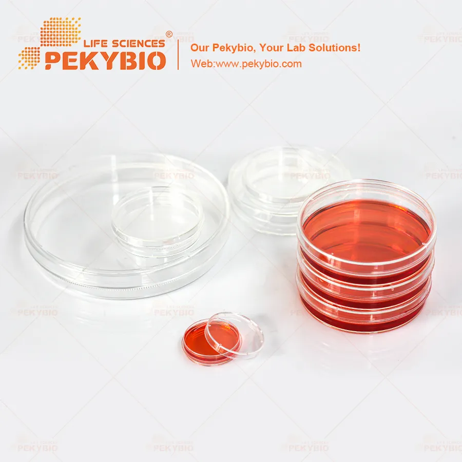 Recommended Product 3