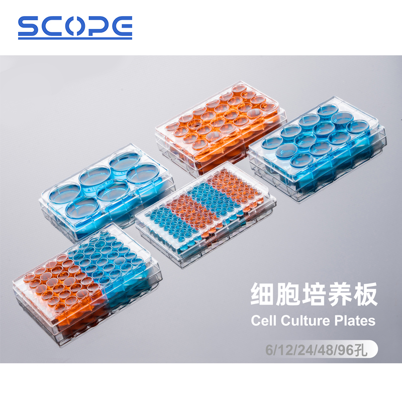 Standard Tissue Culture (TC) Treated Clear Multi-Well Cell Culture Plate