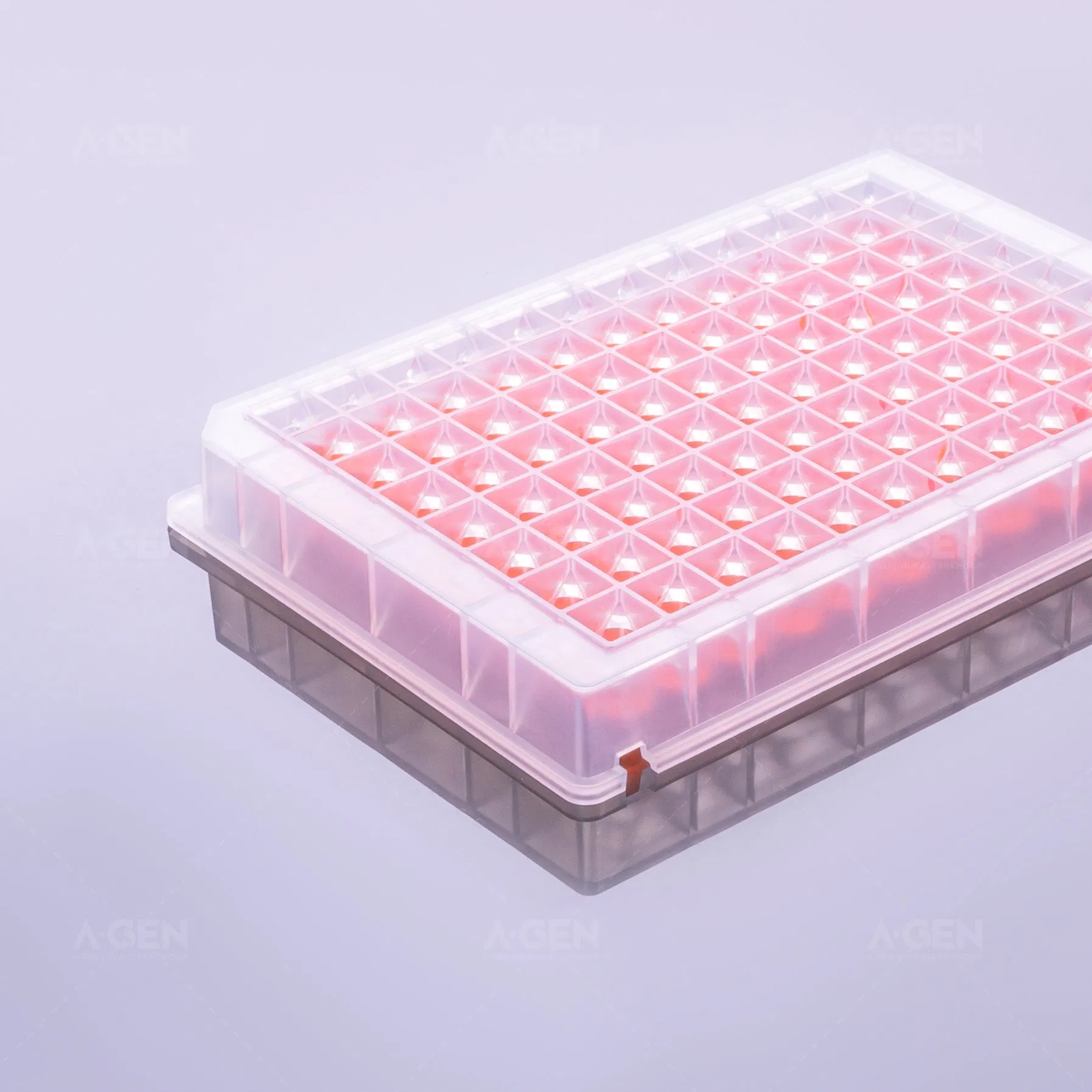 0.5ml PP, Sbs Square 96 V Bottom Deep Well Plate for Kf