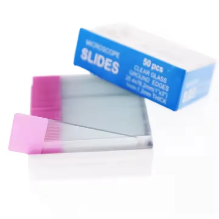 Microscope Glass Slide View