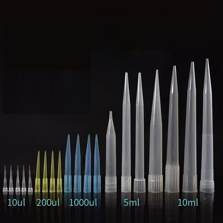Laboratory Disposable Plastic Sterile Filter DNA Rna Free 10UL 200UL 1000UL 1250UL Pipette Tip