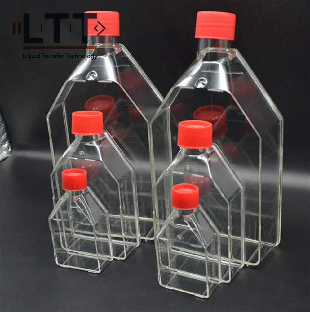 Cell Culture Flask View